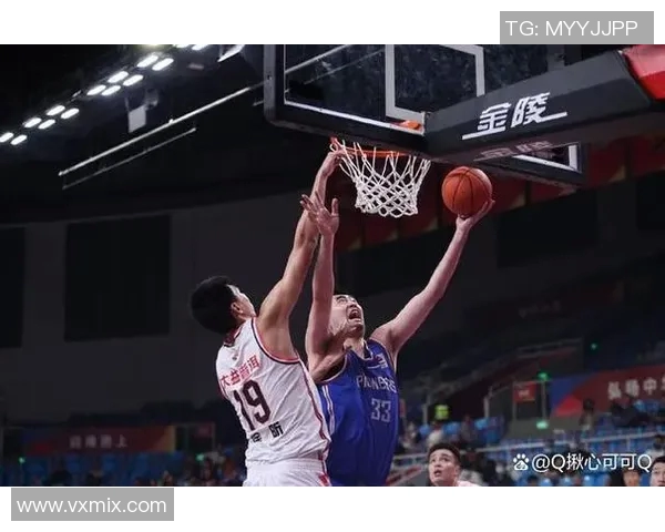 武汉篮球队战术表现深度分析与数据解读探讨