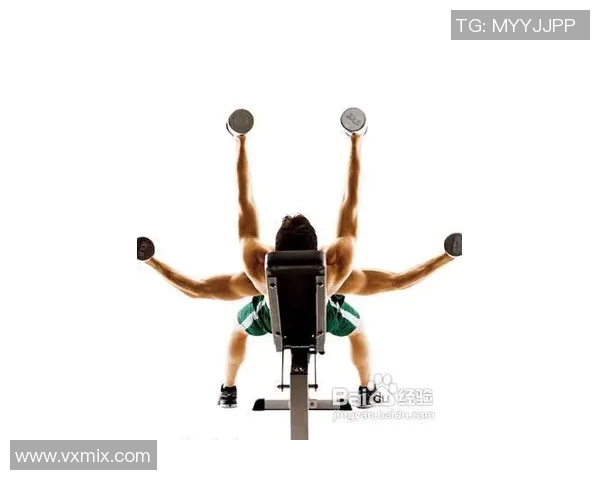练胸肌用什么健身器材?:专为胸部肌肉训练的器材推荐